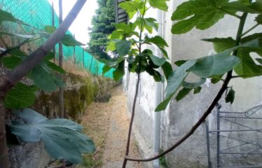 INTERESSANTE soluzione INDIPENDENTE